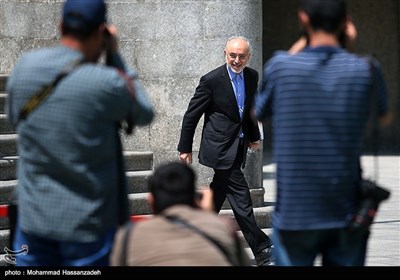  علی‌اکبر صالحی رئیس سازمان انرژی اتمی در حاشیه جلسه هیئت دولت