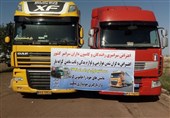 بررسی مشکلات کامیونداران در وزارت کار/ کامیون داران از وزارت کار چه میخواهند؟