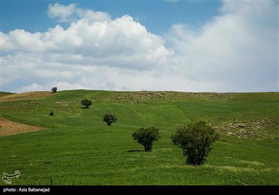 طبیعت آبشار گریت - لرستان