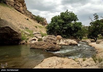 طبیعت آبشار گریت - لرستان