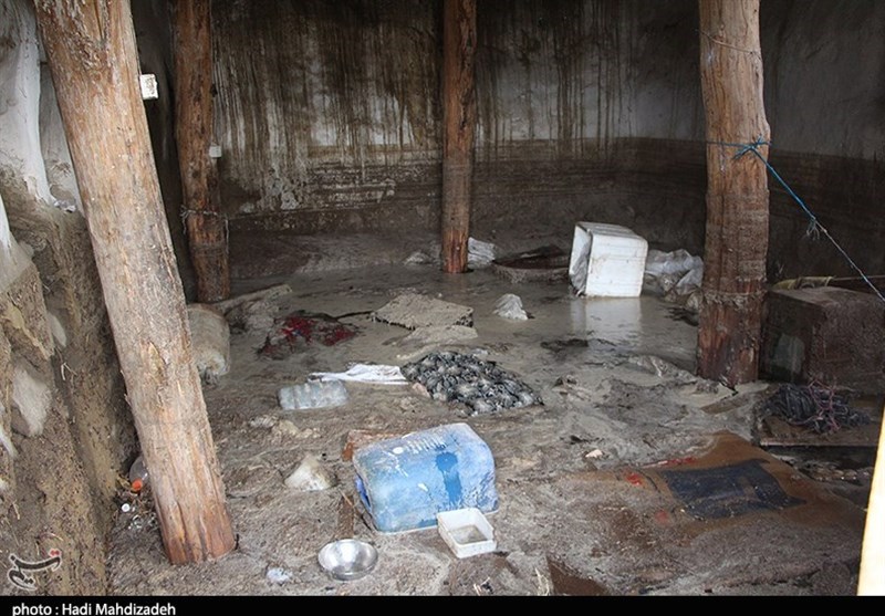 آذربایجان‌شرقی| خسارت سیل در روستاهای شهرستان اهر به روایت تصویر
