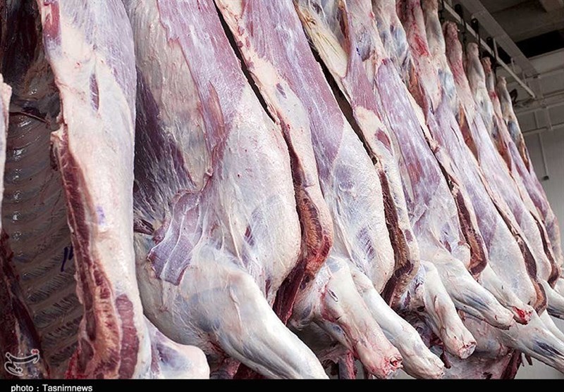 دلیل اصلی افزایش قیمت گوشت در کرمانشاه نابه‌سامانی در شبکه تأمین و توزیع است