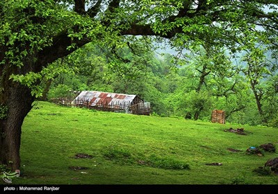 طبیعت ماسال