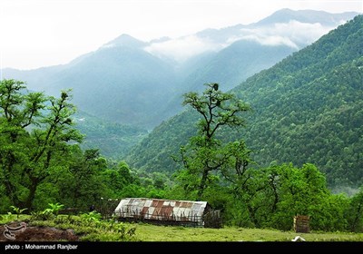 طبیعت ماسال