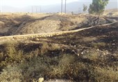 همدان| آتش‌سوزی در مراتع شهرستان اسدآباد 100 درصد کاهش یافته است