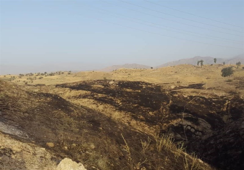 کهگیلویه و بویراحمد| 3 هکتار از مراتع و جنگل‌های شهرستان لنده در آتش سوخت + تصاویر