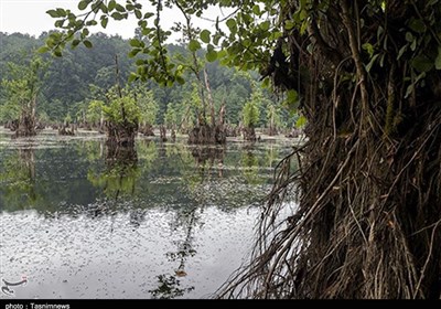 Mamarz Lake: A Ghosts Lake North of Iran