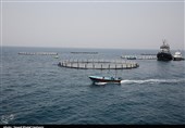 بوشهر|آغاز پروژه 20000 تنی پرورش ماهی در قفس با مشارکت بنیاد مستضعفان در تنگستان+ تصاویر