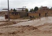 بیرجند| برآورد 130 میلیون ریالی غرامت دام به خسارت دیدگان سیلاب در خراسان جنوبی