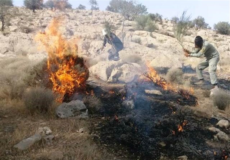 یاسوج|آتش‌سوزی جنگل‌های کوه خائیز کهگیلویه بعد از 9 ساعت مهار شد+تصاویر