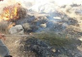 خوزستان| جنگل‌های بلوط ارتفاعات پل‌های دوقوسی کارون 3 دچار آتش سوزی شد