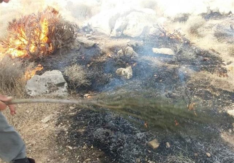 خوزستان|آتش بر پیکره باغات روستای ده کهنه ایذه