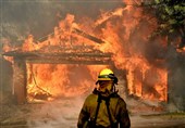حریق در یک واحد صنعتی استان سمنان؛ تلاش آتش‌نشانان برای مهار آتش همچنان ادامه دارد