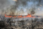 تحولات فلسطین| وقوع آتش‌سوزی‌های گسترده در اراضی اشغالی به سبب بادبادک‌های آتشین