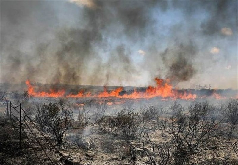 تحولات فلسطین| وقوع آتش‌سوزی‌های گسترده در اراضی اشغالی به سبب بادبادک‌های آتشین