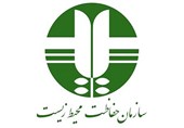 مدیرکل محیط زیست استان زنجان منصوب شد