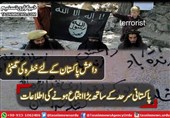 داعش پاکستان کے لئے سب سے بڑا خطرہ قرار