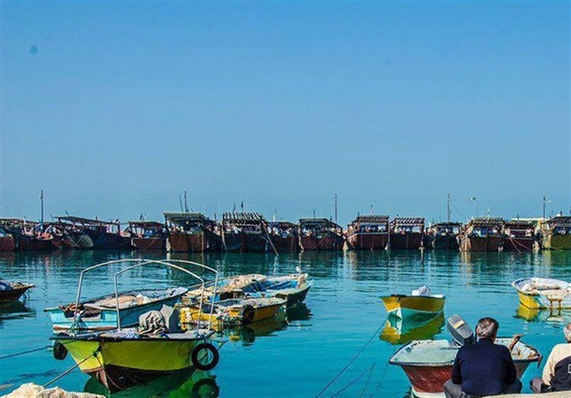 بوشهر| شیلات بوشهر از عقد قرارداد با کشتی مسافری خارگ امتناع کرد