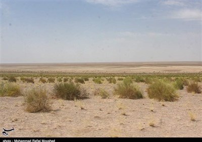 قم،استان،شفيعي،آلودگي،گردوغبار،دشت،فعال،زيست،معاون،محيط،شهر