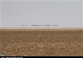 قم| مرگ تدریجی دریاچه نمک قم به علت عدم مدیریت و انتقال حق آبه آن در سدسازی‌های جدید