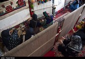اشتغال و اقتصاد روستایی شهرستان‌های استان بوشهر بررسی می‌شود