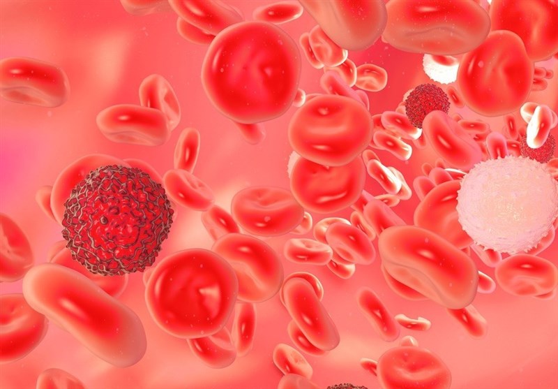 هل تساعد الجراثیم فی الوقایة من سرطان الدم؟