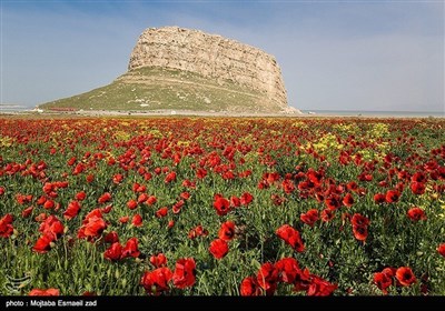 ایران کے شہر ارومیہ کا تاریخی مقام کاظم داشی