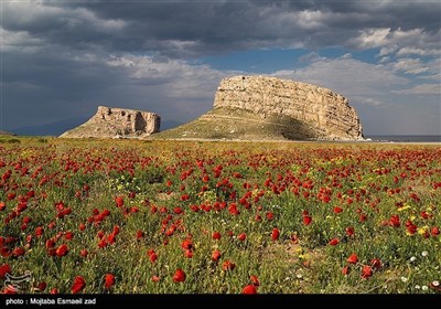 ایران کے شہر ارومیہ میں تاریخی مقام کاظم داشی