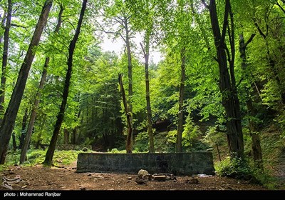 در این منطقه می توان به جنگلهای طبیعی حاشیه مسیر سیاهکل به دیلمان باغات چای، رودخانه بسیار زیبا با آب بسیار خنک در تابستان و منطقه سرسبز دیلمان اشاره نمود. 