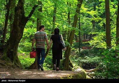 ، زیبایى‌ این‌ منطقه‌ در بهار و تابستان ‌وصف ‌ناپذیر است که باعث شده این آبشار به‌ یکى‌ از جاذبه‌ هاى ‌توریستى‌ مهم‌ استان‌ حتی ایران‌ تبدیل‌ شود.