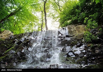 آبشار لونک در منطقه جنگلی کوهستانی پس از شهر سیاهکل مجاور جاده زیبای سیاهکل به دیلمان واقع شده و فاصله آن تا شهر سیاهکل حدود ۲۵ کیلومتر است.