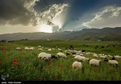 سفر به ییلاق شکردشت