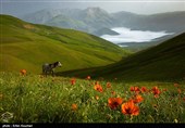 Iran's Beauties in Photos: Shekardasht Countryside