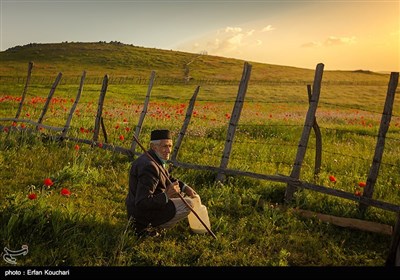 Iran's Beauties in Photos: Shekardasht Countryside