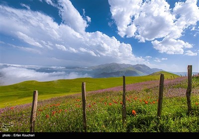 Iran's Beauties in Photos: Shekardasht Countryside