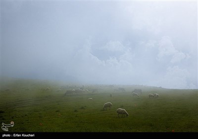 Iran's Beauties in Photos: Shekardasht Countryside