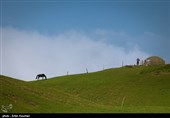 سفر به ییلاق شکردشت