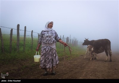 Iran's Beauties in Photos: Shekardasht Countryside