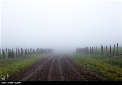 Iran's Beauties in Photos: Shekardasht Countryside