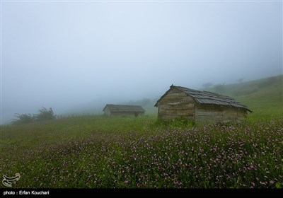 Iran's Beauties in Photos: Shekardasht Countryside