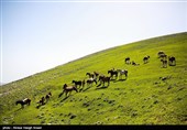 طبیعة کیلان ومصایفها شمال إیران