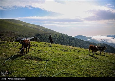 طبیعت ییلاقی گیلان