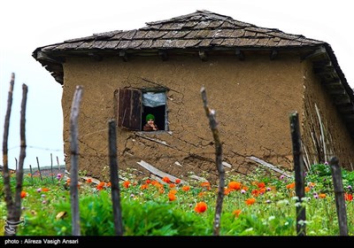 طبیعة کیلان ومصایفها شمال إیران