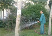 عدم توجه به بحران کمآبی؛ آبیاری بیرویه فضای سبز در بجنورد ادامه دارد