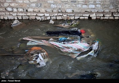 همجواری این رودخانه با شهر کرمانشاه و عبور آن در بین مزارع کشاورزی کرمانشاه،باعث شده از آب این رودخانه برای آبیاری محصولات کشاورزی استفاده شود که قطعا باعث ورود آلودگی به چرخه غذایی مردم می شود