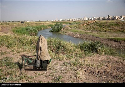 رود خانه قره سو(آب سیاه ) - کرمانشاه