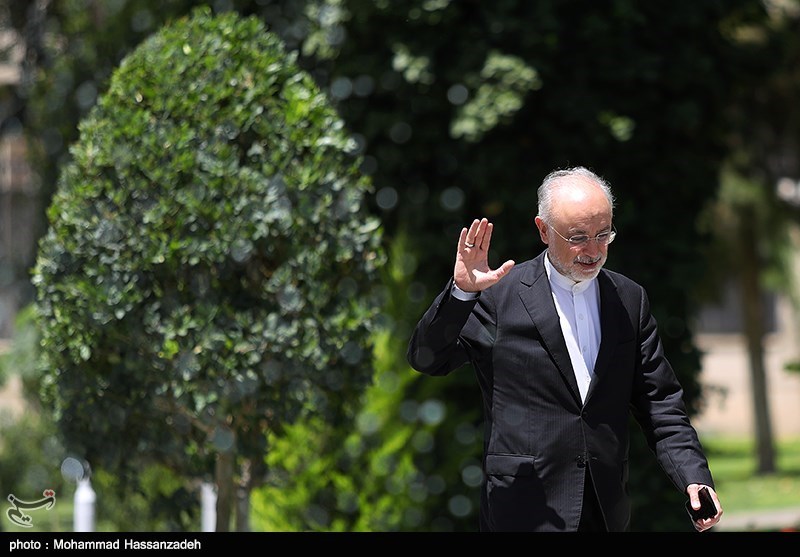 Iran Nuclear Chief in Austria for ICONS 2020