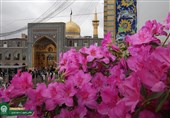 مرحله ملی طرح «سلام بر امام» همزمان با عید سعید غدیر آغاز می‌شود