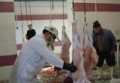 طرح "مبارزه با کشتار غیر مجاز" آثار ملموسی برای ایلام نداشت