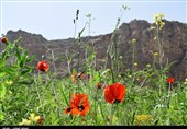 منطقه گردشگری"خان دره سی"ارومیه به روایت تصویر